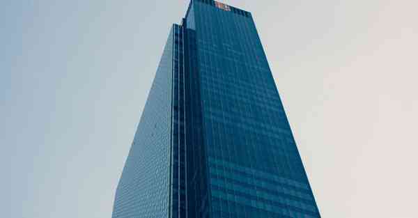 手机蒲公英软件怎么用