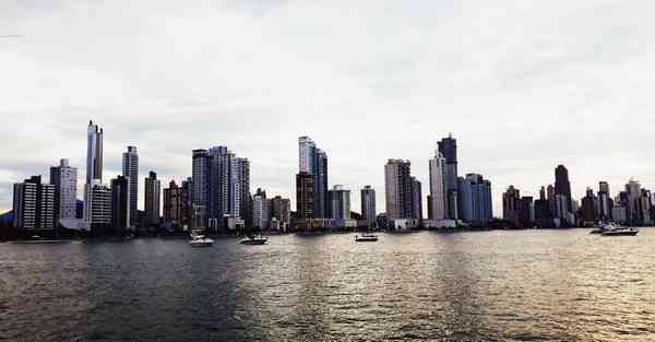 布谷手机加速器下载